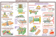 ПС09 Безопасность труда при деревообработке (бумага, А2, 5 листов) - Плакаты - Безопасность труда - . Магазин Znakstend.ru